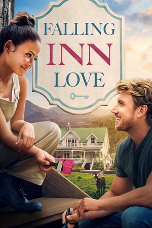 Falling Inn Love (2019) Hindi Dual Audio 480p Web-DL 300MB