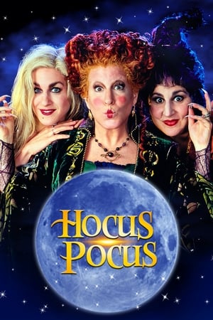 Hocus Pocus 1993 Hindi Dual Audio 720p BluRay [850MB]