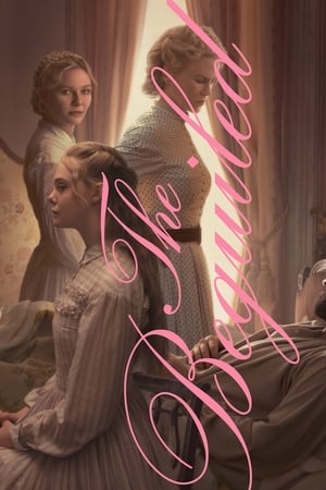 The Beguiled (2017) Hindi Dual Audio 720p BluRay [780MB]