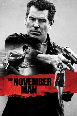 The November Man 2014 Dual Audio [Hindi – English] BluRay 480p – 720p – 1080p